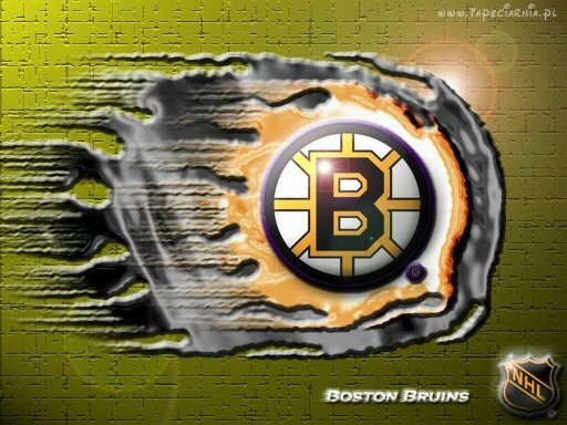 EishockeyAut's profile picture. Icehockey is the best :*  :))