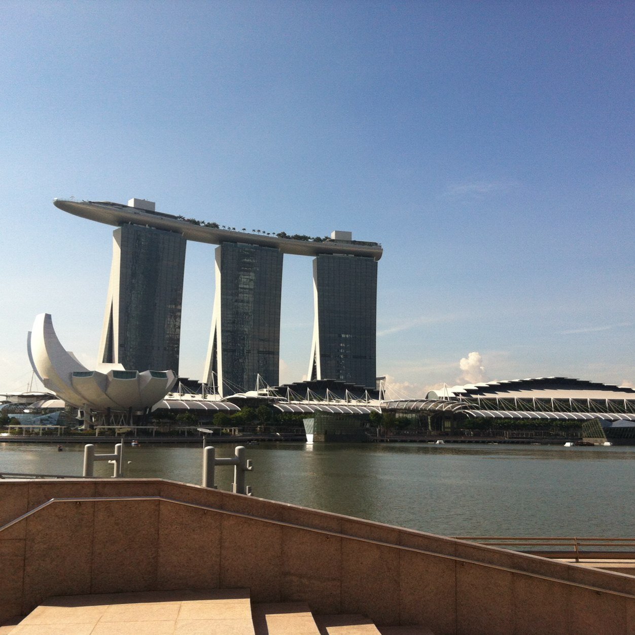 XiaojuanChen's profile picture. 