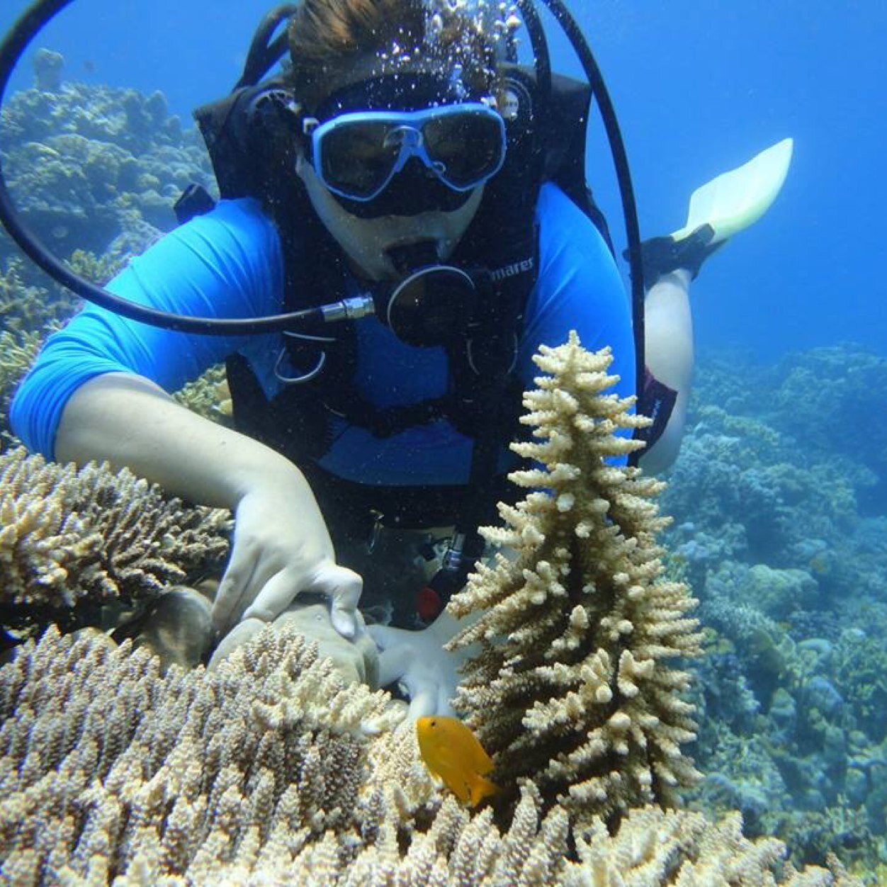 di8vi_au's profile picture. 29. Audiophile. Cinephile