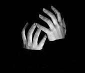 blackliveess's profile picture. The other name of madness.