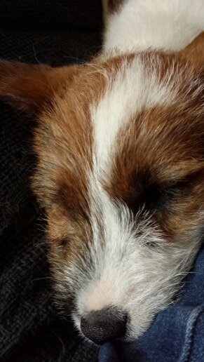 moss_mumandco's profile picture. 