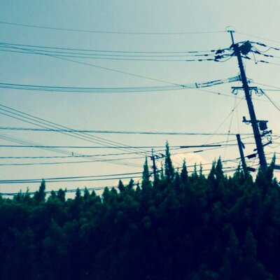 有村