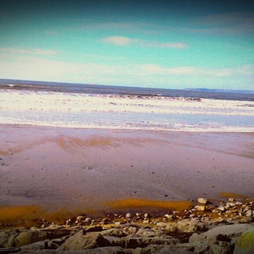 wcadadomino's profile picture. Development Of Motivation In New Outlooks.