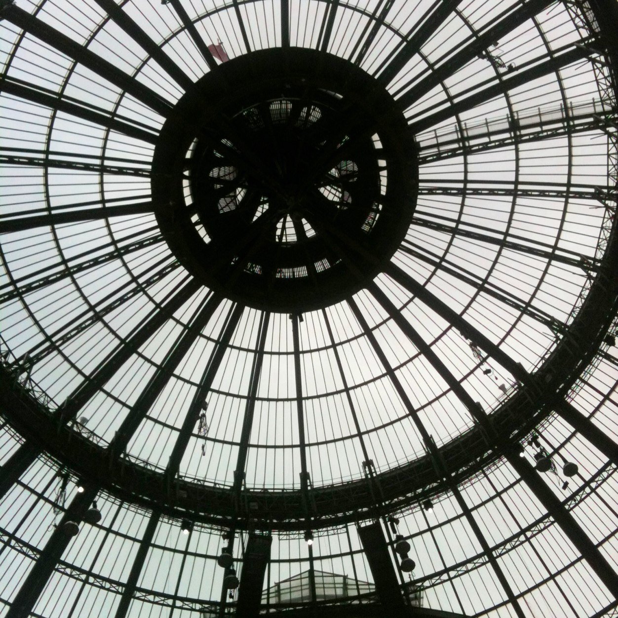 voahangy76's profile picture. Directrice Branches et Observatoire - Forco