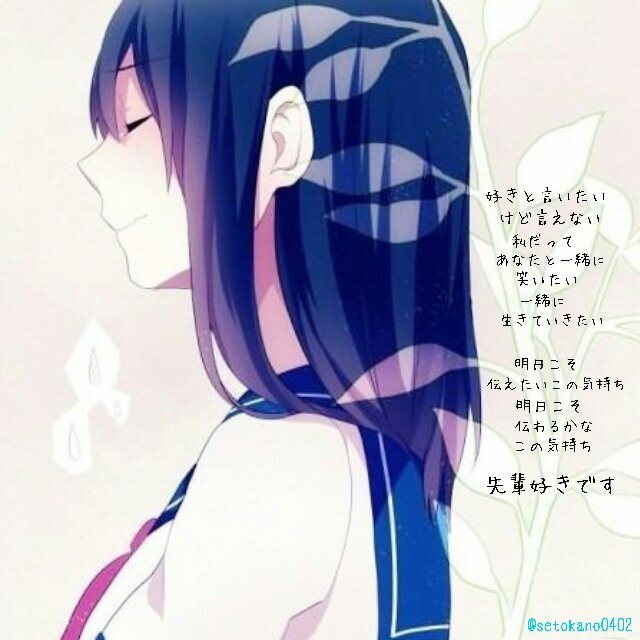 しゅうか( ･¬･)恋してる...さんのプロフィール画像