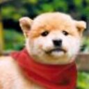 サッカー少年 (@00bcf00) Twitter