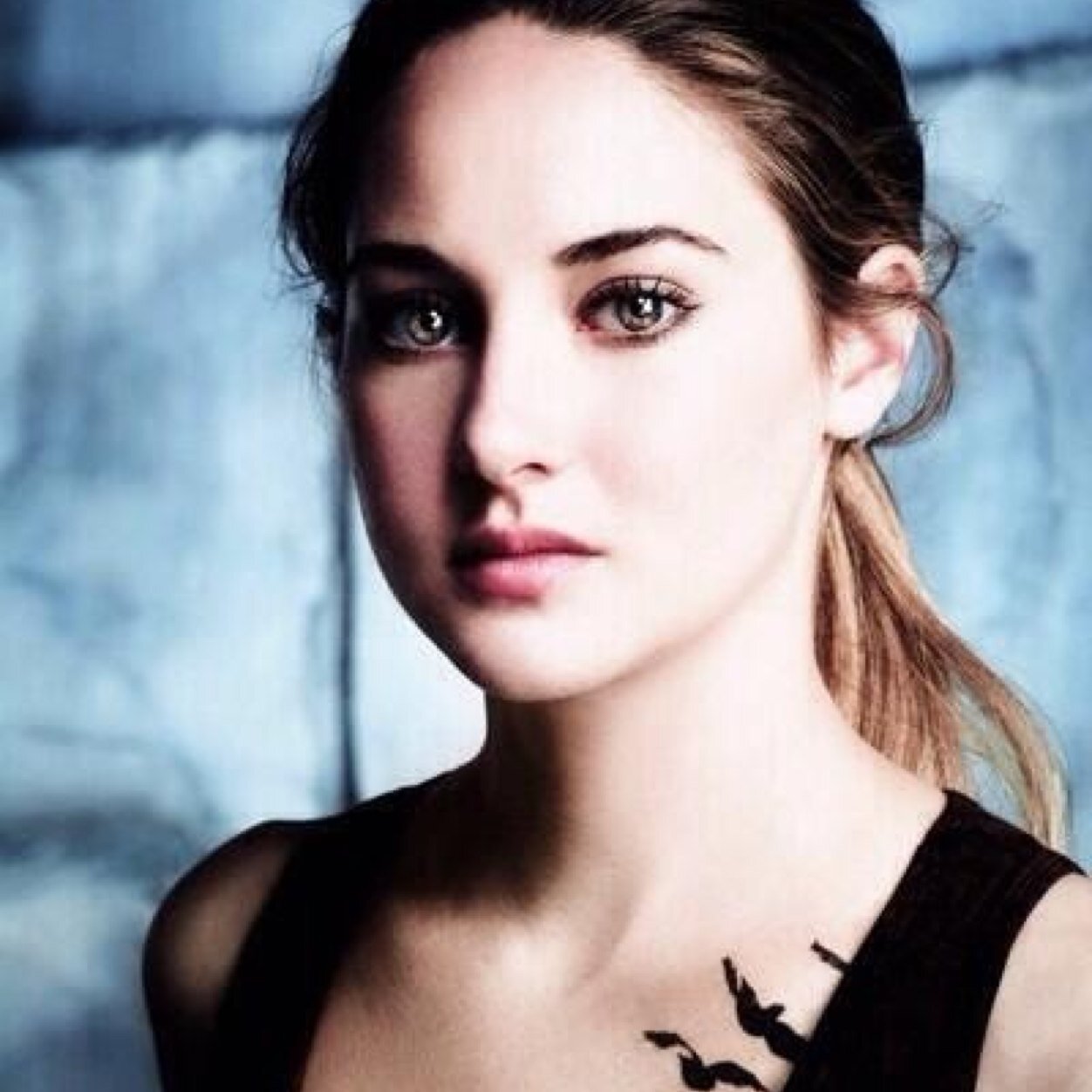 I am Divergent. And I can't be controlled. Telling my story, one tweet at a time. #Divergent #Insurgent #Allegiant #Spoilers