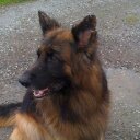 Alex - @AlexSandell0206 - Twitter