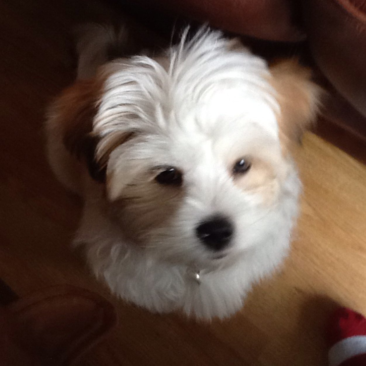 macdonald_n's profile picture. 