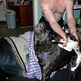 The Diesel
T-Bone
Bones
Dat Gator
