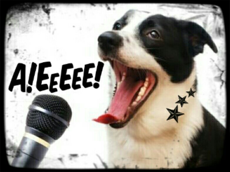 jerry100110011's profile picture. 