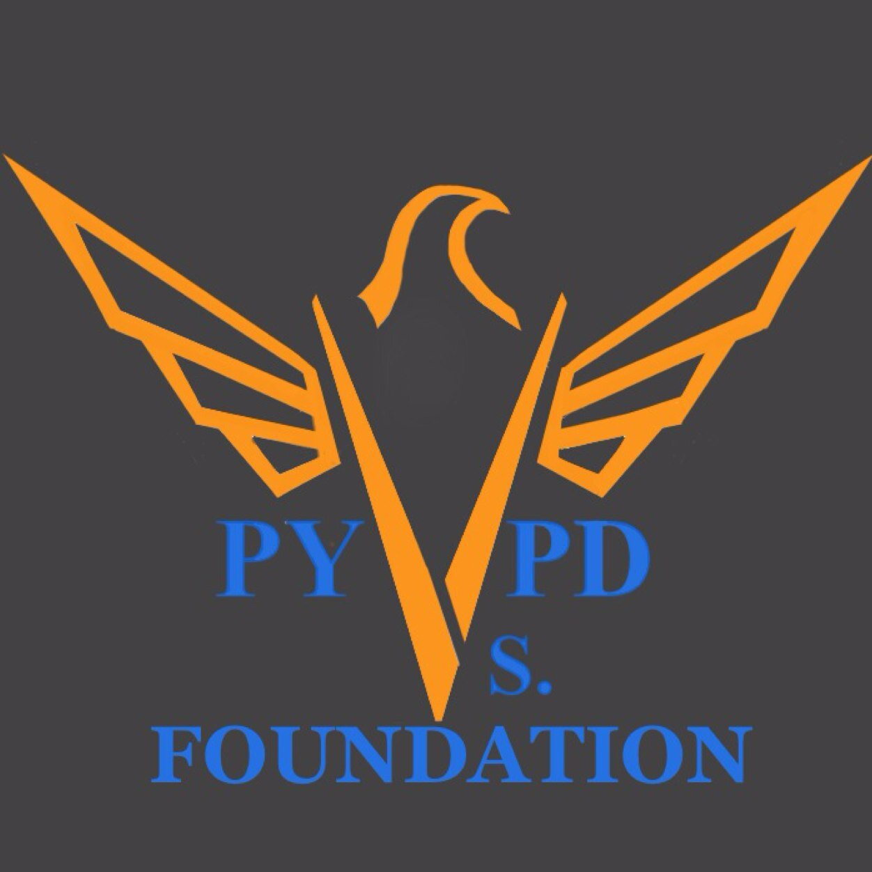 PYvsPD's profile picture. 