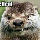 Tyrel Thomas - @ThomasTyrel - Twitter