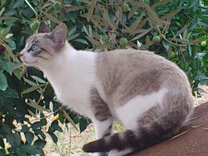 inma__72's profile picture. 