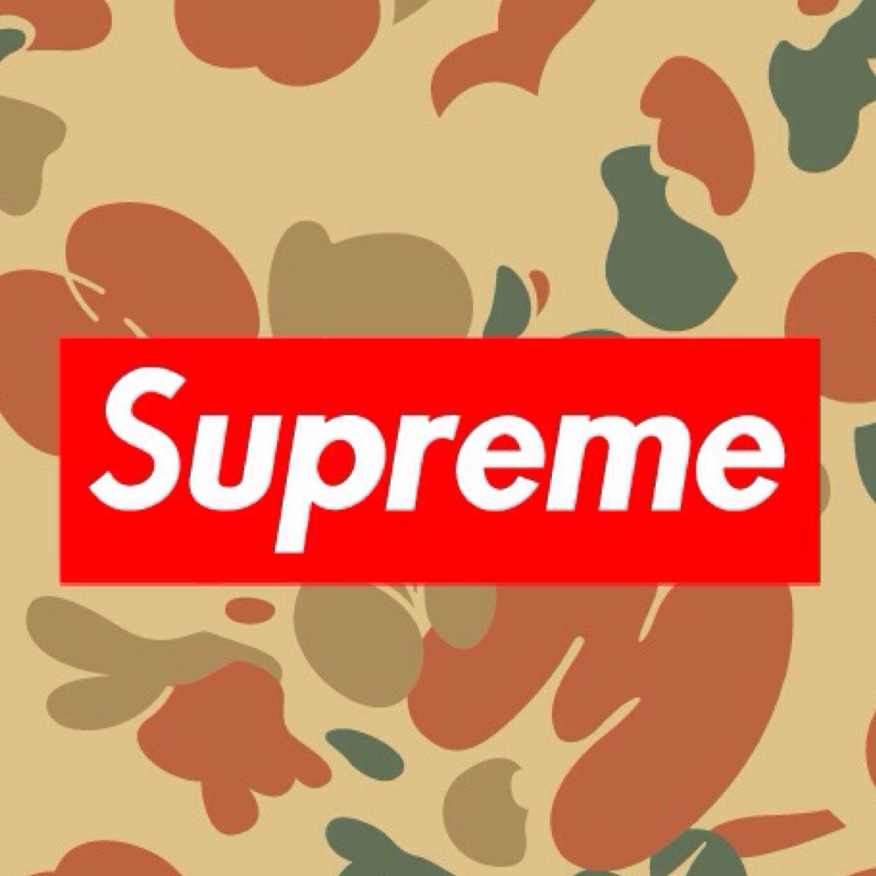 Supreme19971024's profile picture. ☆美容専用垢★