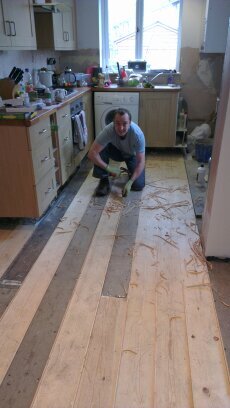 peartreeplaster's profile picture. 