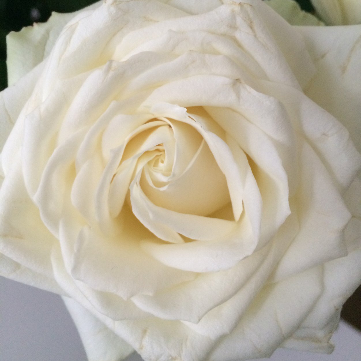 Ikkuhh's profile picture. 