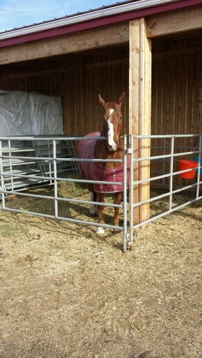 vetoquinolBUM's profile picture. 