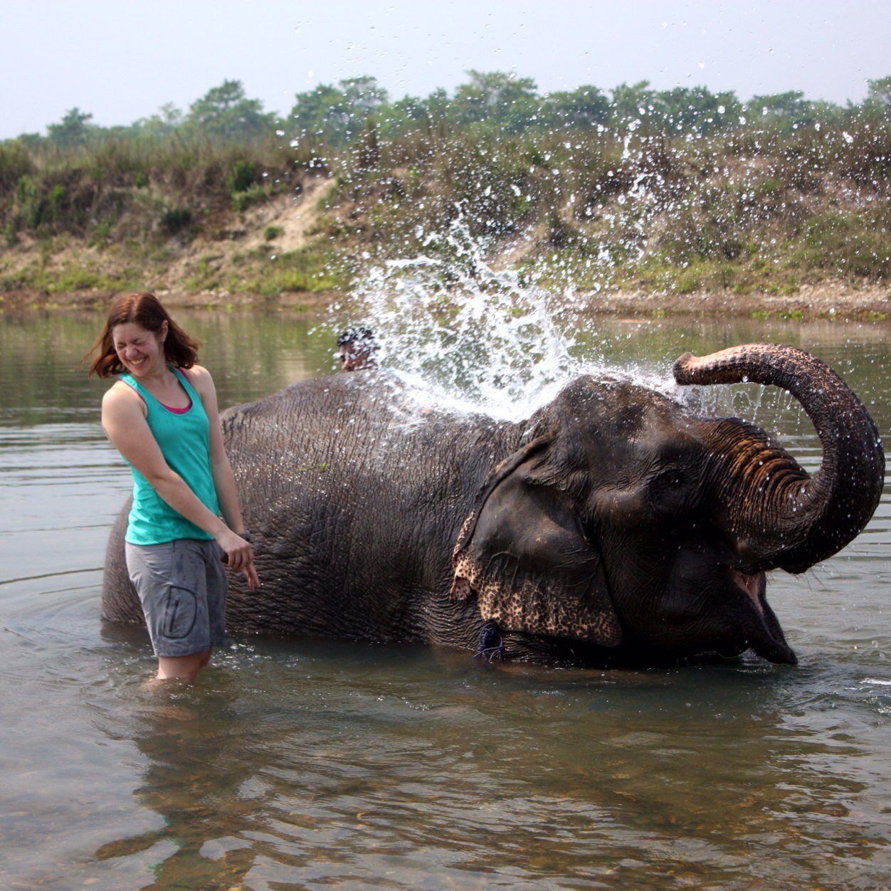 bnaiviv's profile picture. 