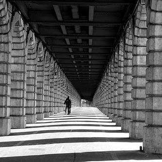 5MileFabrice's profile picture. 