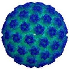 RememberChrisD's profile picture. We all miss Chris Deen/Dean/Deene/Diene/ Tell your stories about Chris here.  If you have a legal claim, then please file your civil suit with his estate.