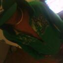 darion james - @boiinferno100 - Twitter