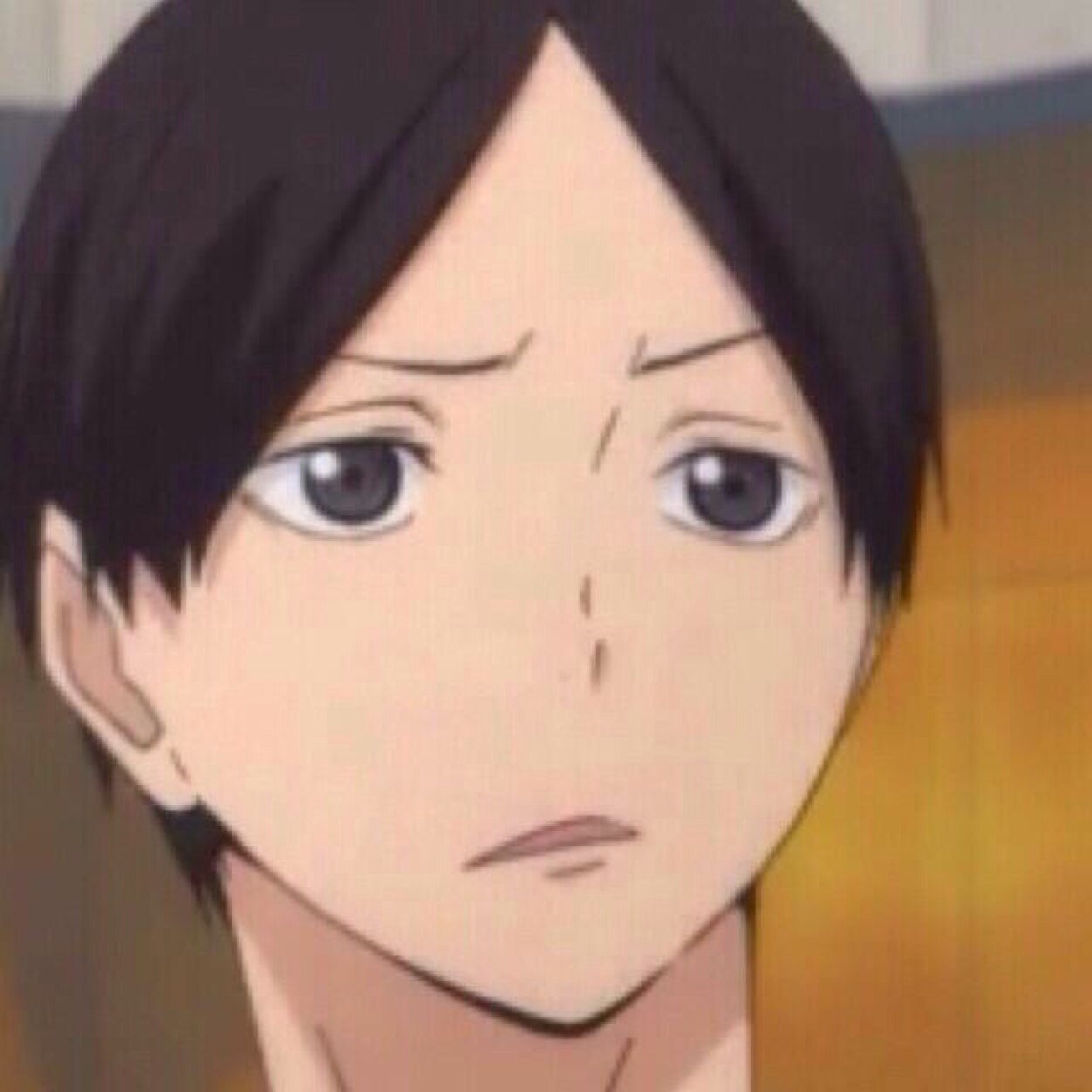 ののさんのプロフィール画像