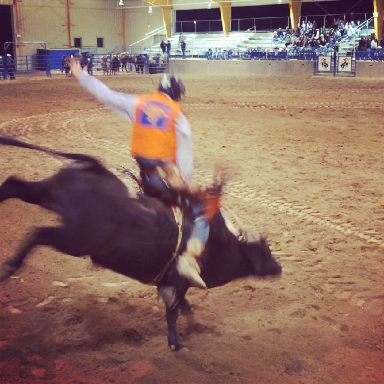 rwbibee_08's profile picture. UTM '17-UTM Rodeo-Bull Riding-Hannah Stepp♥