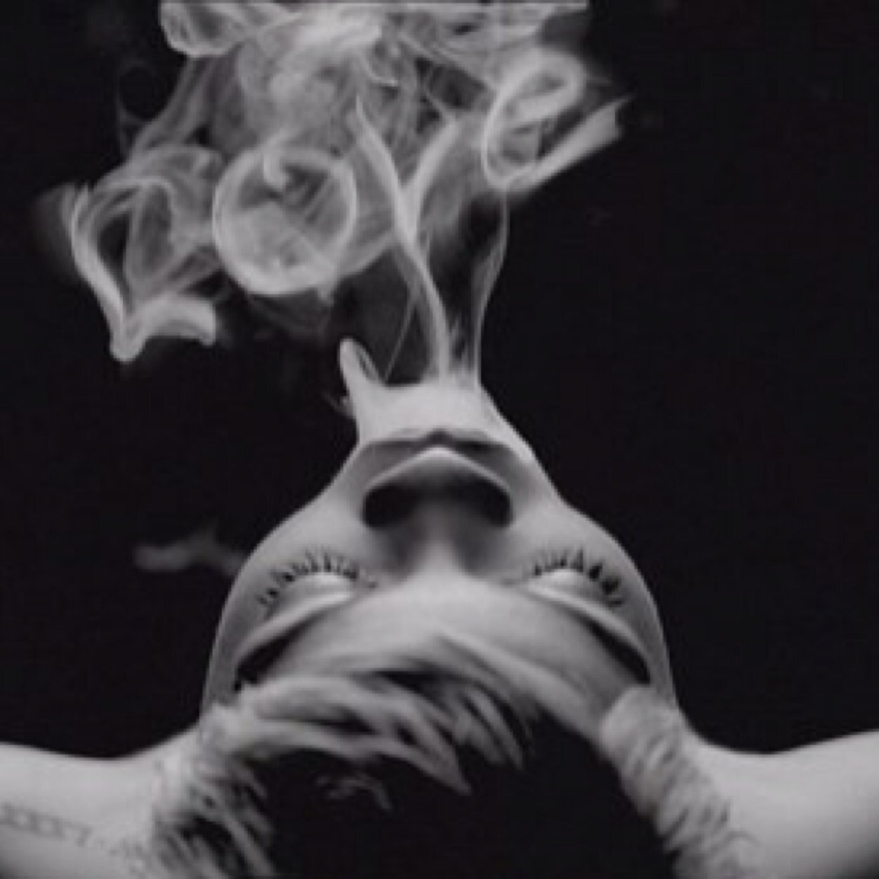 yu_qloo's profile picture. 