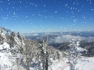 sddc15's profile picture. 