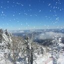 youri kim - @sddc15 - Twitter