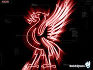 I was born in Minnesota. June 12, 1998.LIVERPOOL