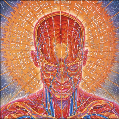 Kabullenmiyorum's profile picture. 