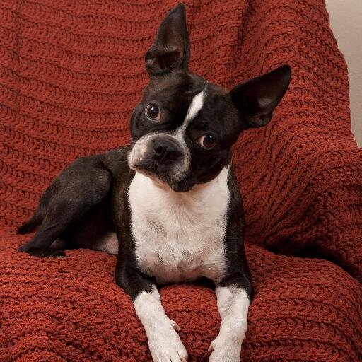 NicoleChilds28's profile picture. I rock, I'm awesome, you should love me