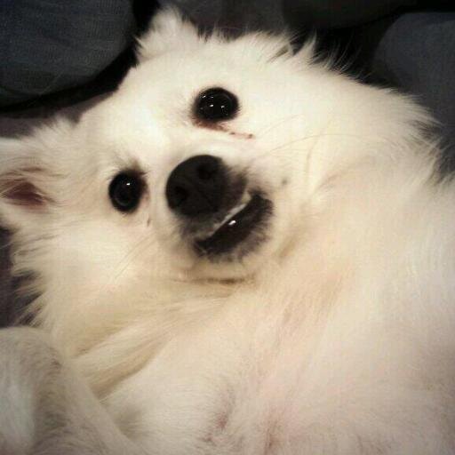 I just ate my own poop!