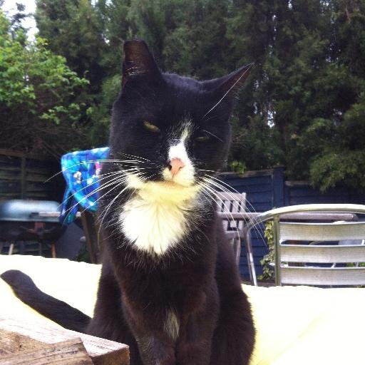 karengrattage's profile picture. 