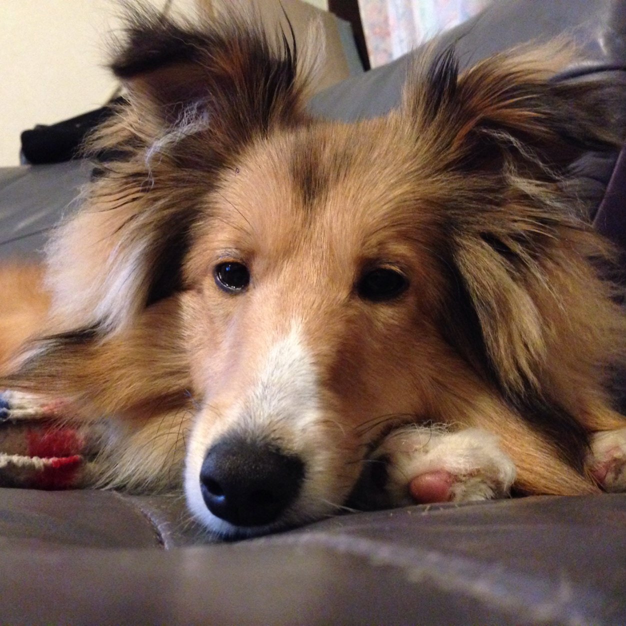 tk0725ak's profile picture. 株式会社Pro sophia代表。 電子書籍出版、アプリの開発、知財コンサルなんかをしています。#燻製 #THEYELLOWMONKEY #仮想通貨 #電子書籍 #webサービス