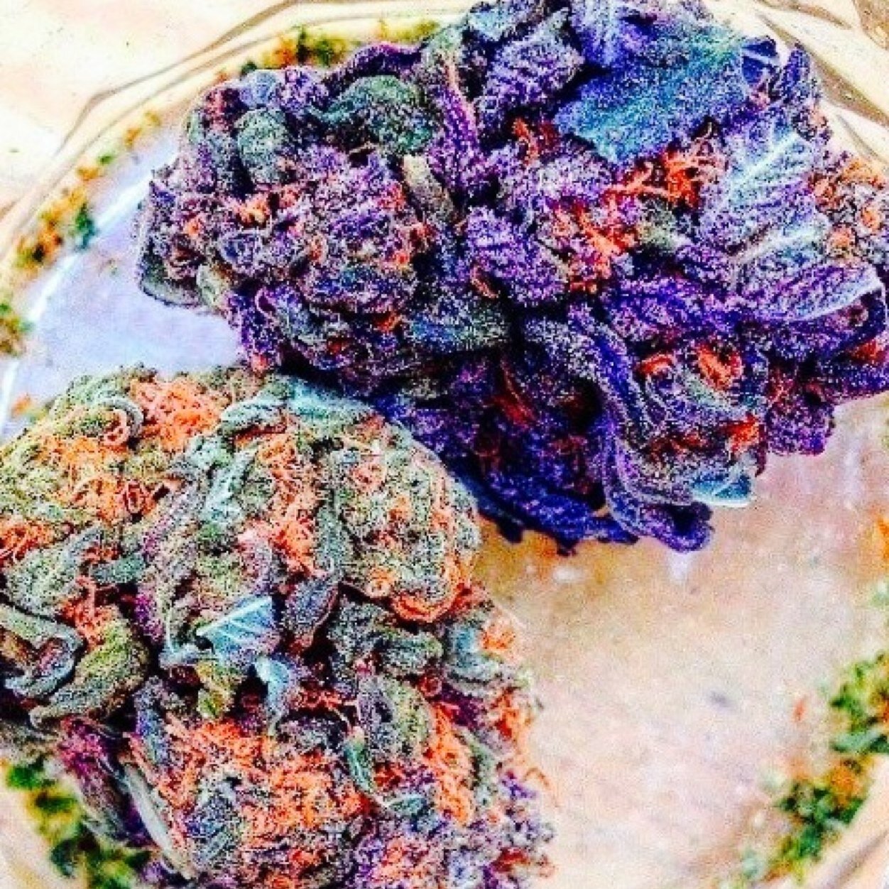 smokinggypsy's profile picture. 