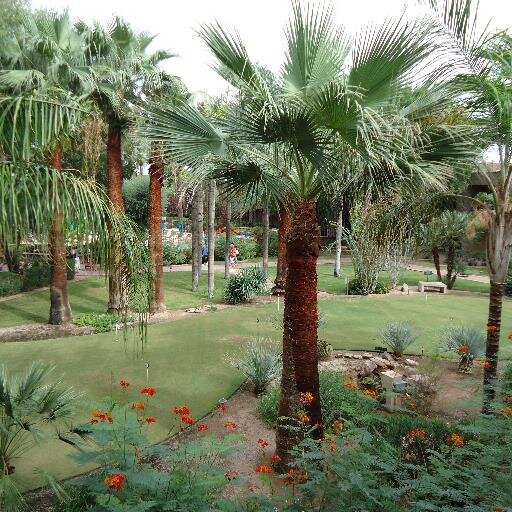 lordshope's profile picture. One of God's Workerbees here on earth trying to do his will, work and inspire our future generations, so they may live with HOPE, FAITH, GRACE and PEACE :)