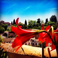 Familia Granada (@adoptameaqui) 's Twitter Profile Photo Familia Granada (@adoptameaqui) 's Twitter Profile Photo