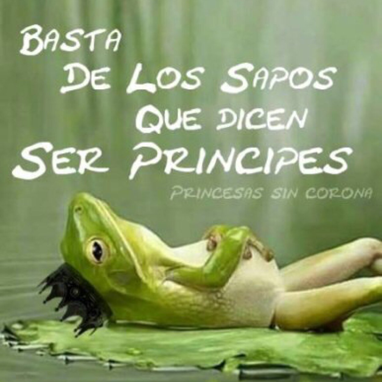 Tips para encontrar a tu Príncipe Azul sin besar mas SAPOS