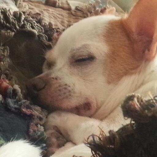 rosareally's profile picture. Rabid reader of MM & Gay Fiction. Occasional amateur reviewer. And oh, yeah, seller of used books, when I'm not reading. Which is rarely.