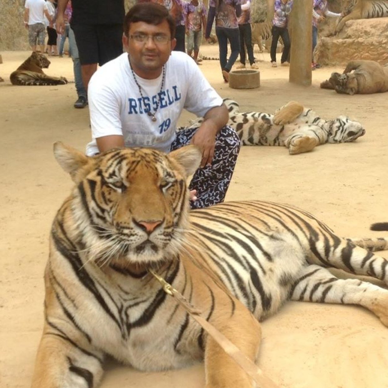 Faculty at ART OF LIVING. Working with SRI SRI INTERNATIONAL, GUJARAT as a Technical & Development Manager