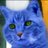 Blue_cat31s1z's profile image