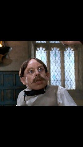 Profesor en Hogwarts escuela de magia y hechizería. Encantamientos. Portáos bien y atended
