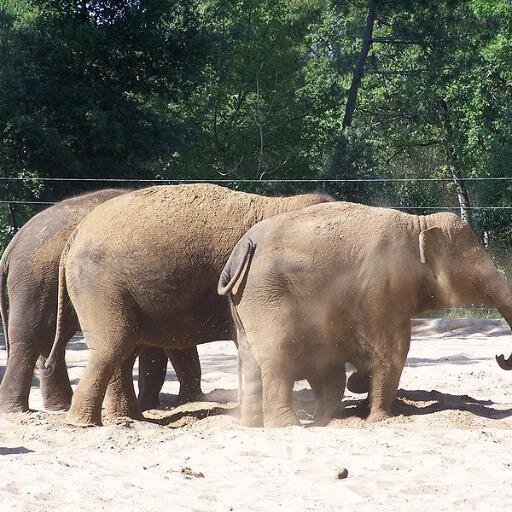 NamTruth's profile picture. I am a wife, mom & Nana. I was a special ed teacher. I am a Yogi! I live my life with the energy of love & light. Always live with good intent ✨⭐️ ✨