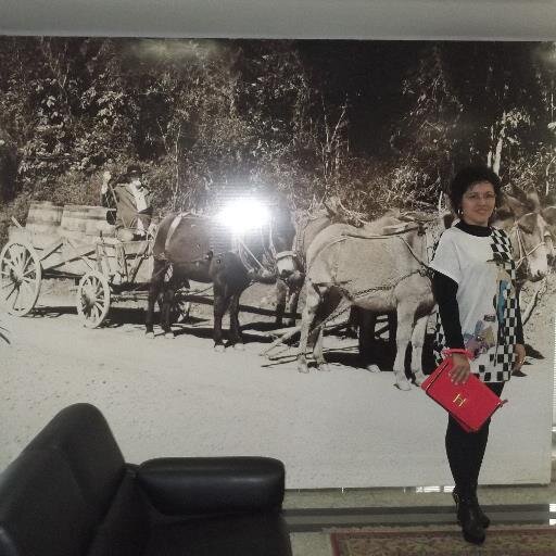 helyannatavares's profile picture. Só ao chegar ao topo de uma montanha é que percebemos quantas mais temos que subir.