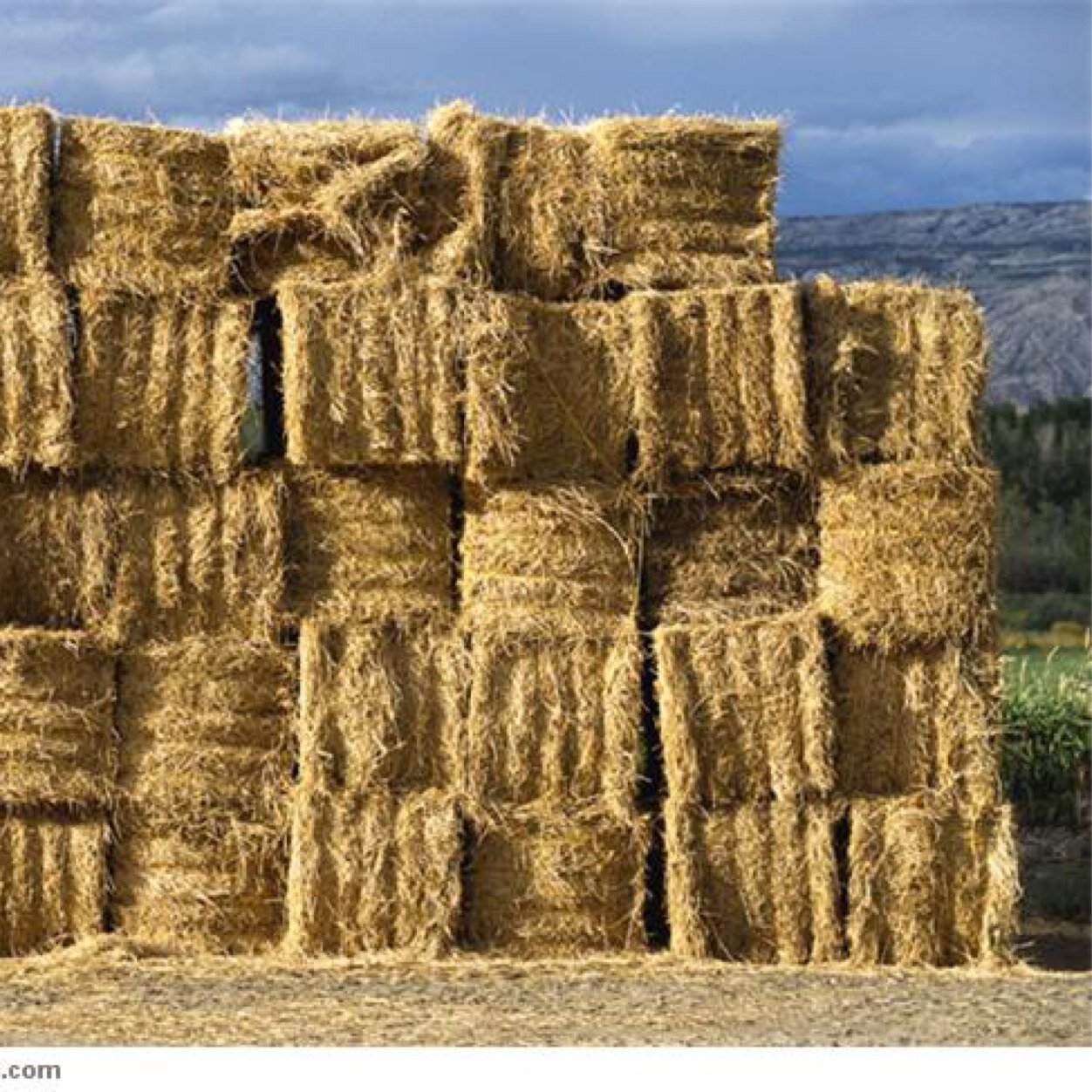professional bale tosser and radio technician snapchat me @ frankspaulding