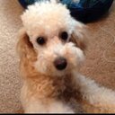 Miles Matheson - @Milesmatheson11 - Twitter