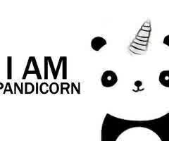 HELLO!!!!! Hey there I'm pandicorn I'm a youtuber I do vlogs nearly on a daily basis and I may sometimes do covers and Q&A's :D please subscribe!!!!